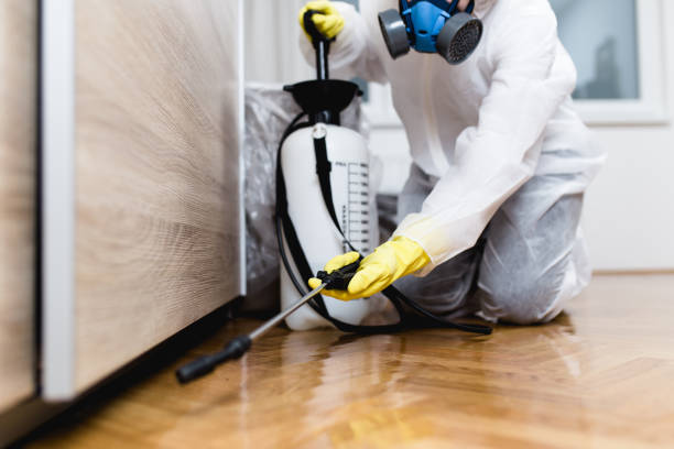 Best Wasp Removal Services  in Indian Wells, CA