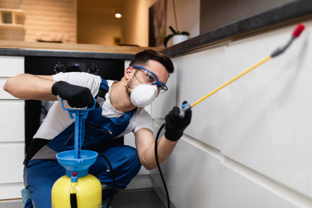 Best Affordable Pest Control Services  in Indian Wells, CA