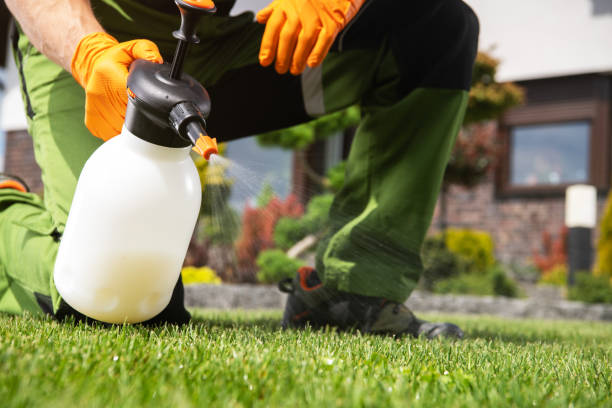 Best Wasp Removal Services  in Indian Wells, CA