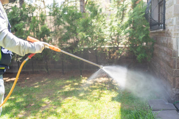 Best Local Pest Control Services  in Indian Wells, CA