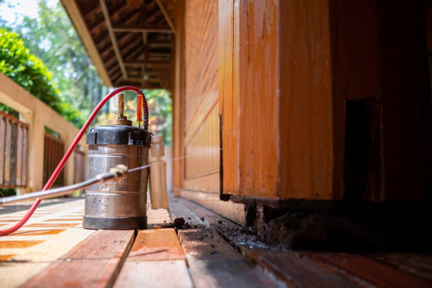 Best Best Pest Control Companies  in Indian Wells, CA