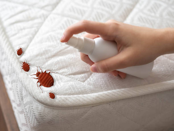 Best Exterminator Services  in Indian Wells, CA