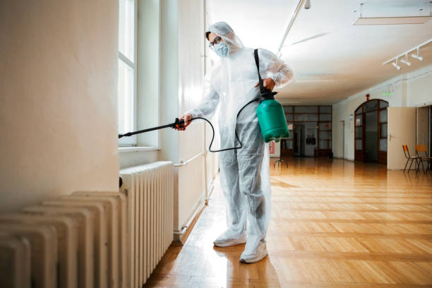 Wasp Removal Services in Indian Wells, CA