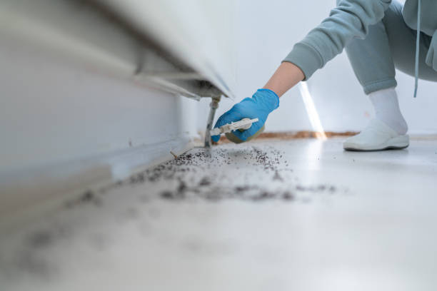 Best Commercial Pest Control Services  in Indian Wells, CA