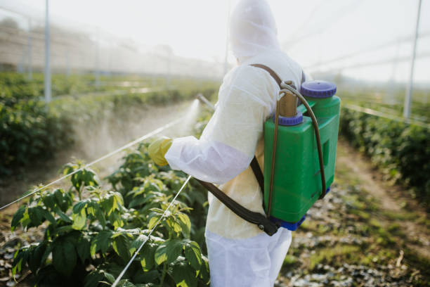 Indian Wells, CA Pest Control Company